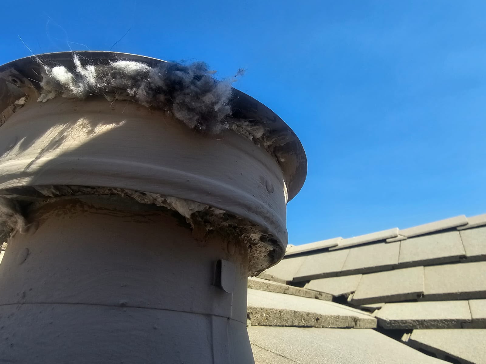 Clogged cap before cleaning