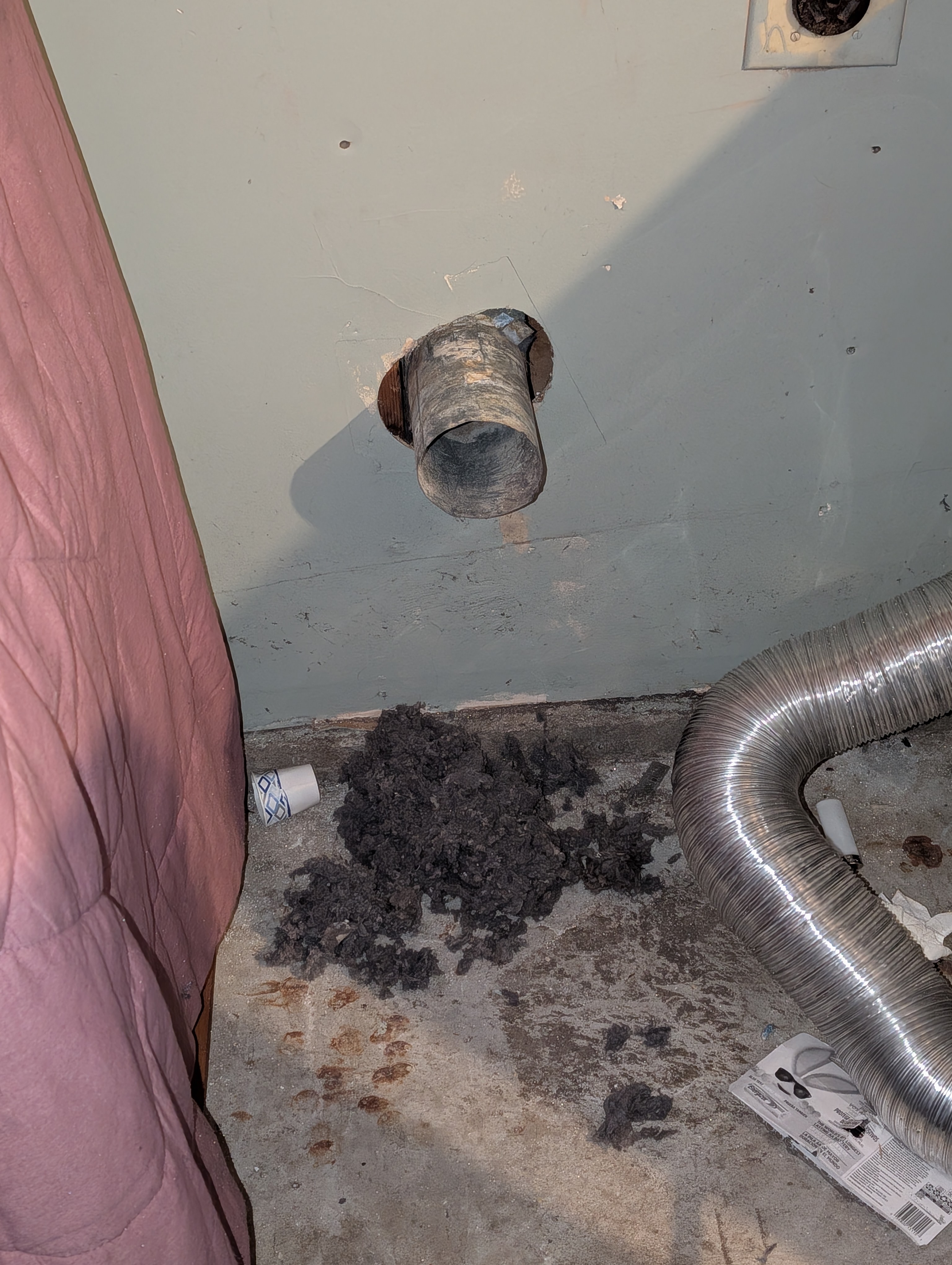 Wet lint comes out of the vent