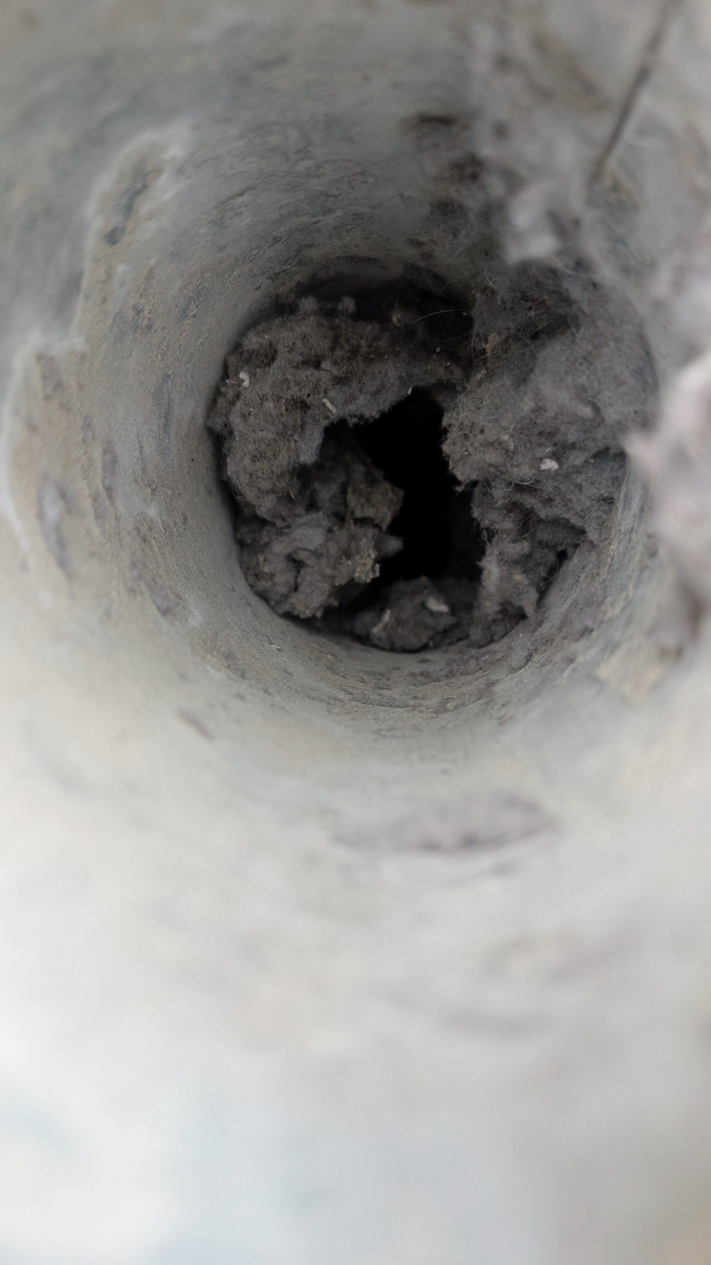 Clogged line